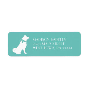 Chien Akita Puppy