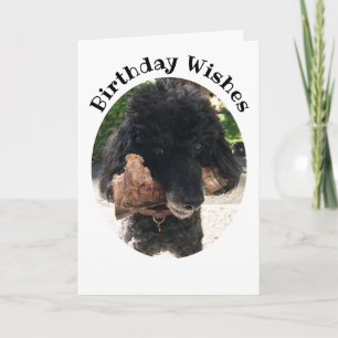 Chien amusant avec une carte d'anniversaire d'os