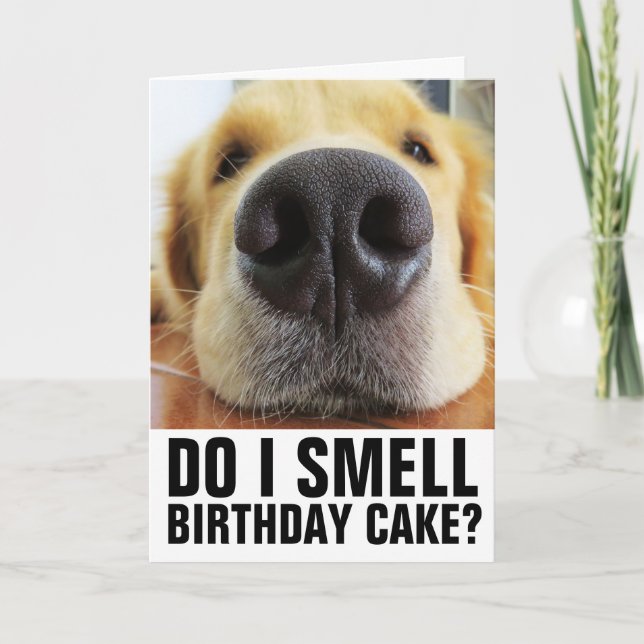 CHIEN AMUSANT FERMER LES CARTES D'ANNIVERSAIRE (Devant)