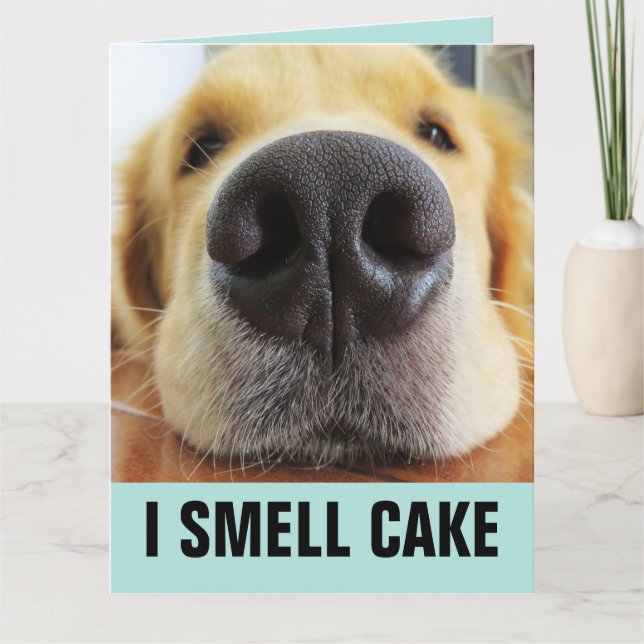 CHIEN AMUSANT GRANDE CARTE DE GÂTEAU D'OEIL D'ANNI (Devant)