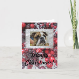 Chien anglais Joyeuses cartes de Noël, mignonnes !
