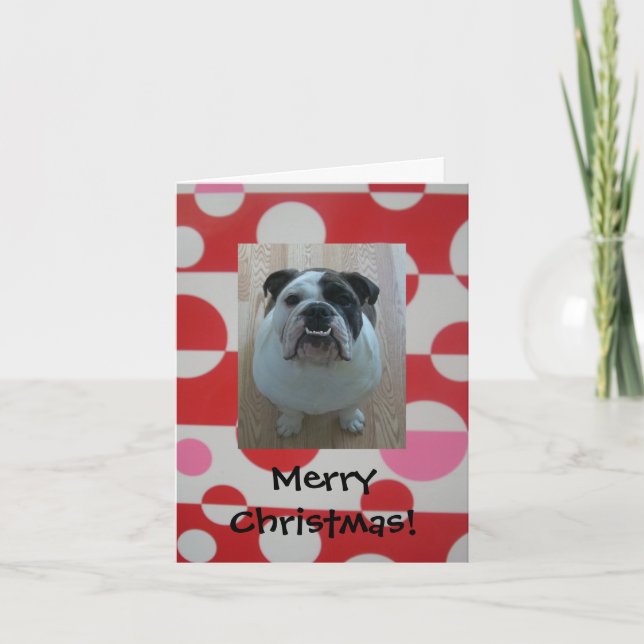 Chien anglais joyeux cartes de Noël (Devant)