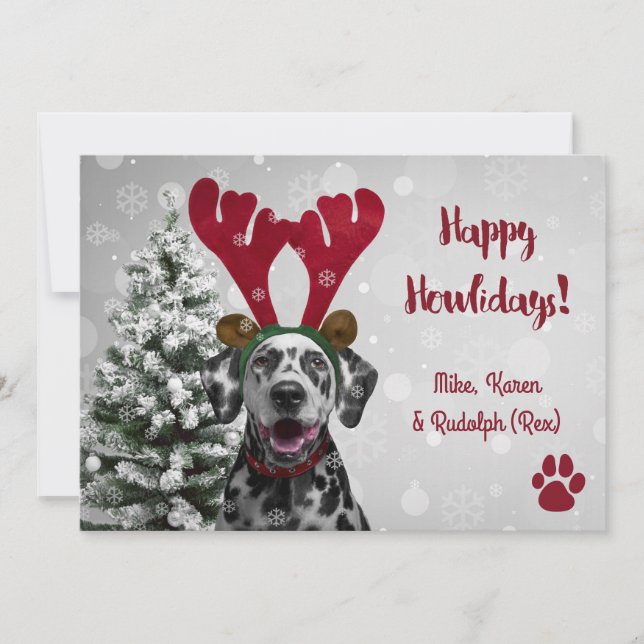 Chien Animal de compagnie drôle Joyeux Noël Cartes (Devant)