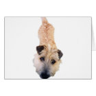 Chien Années Vous avez 420 ans