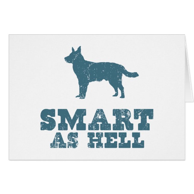 Chien australien de bétail (Devant horizontal)