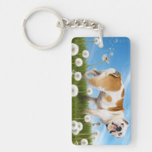 Chien avec Dandelion