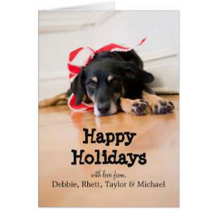 Chien avec des rubans de Noël