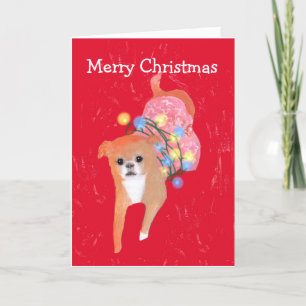 Chien avec la carte des lumières de Noël