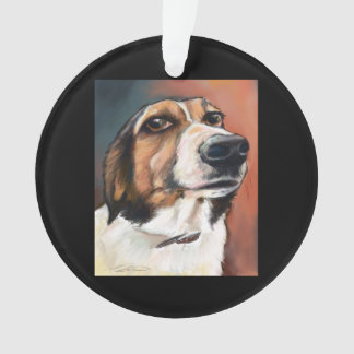 Chien Beagle de Basset Hound