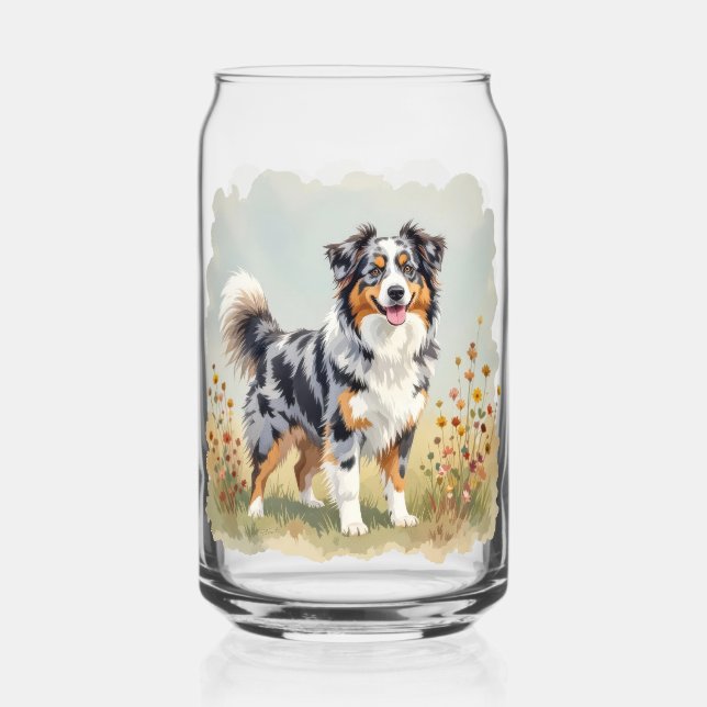 Chien berger australien Merle Long Tail (Recto)