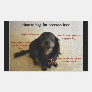 Chien Biscuit biscuit Traite Étiquette de jarre