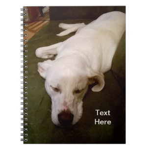 Chien Blanc Endormi Cahier Vert