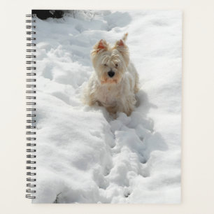 Chien blanc mignon dans le planificateur de neige