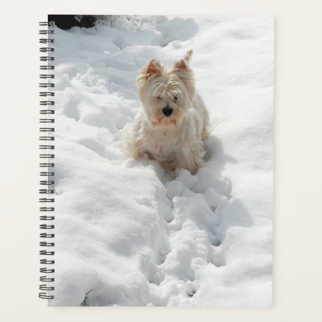 Chien blanc mignon dans le planificateur de neige (Devant)