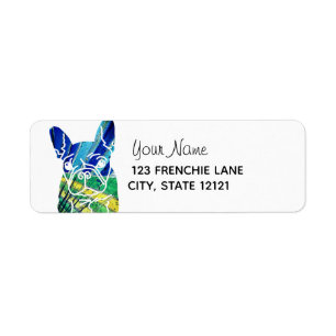 Chien bleu de Frenchie