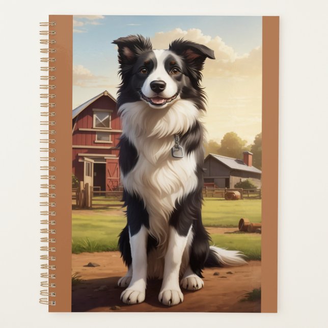Chien Border Collie (Devant)