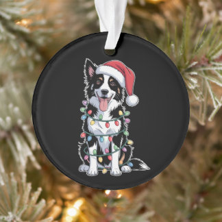 Chien Border Collie Chapeau de Père Noël Lumières
