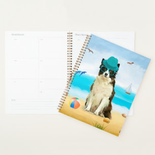 Chien Border Collie sur la plage