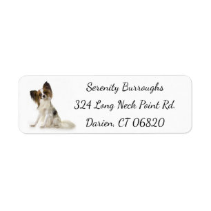 Chien Brown et blanc de Papillon