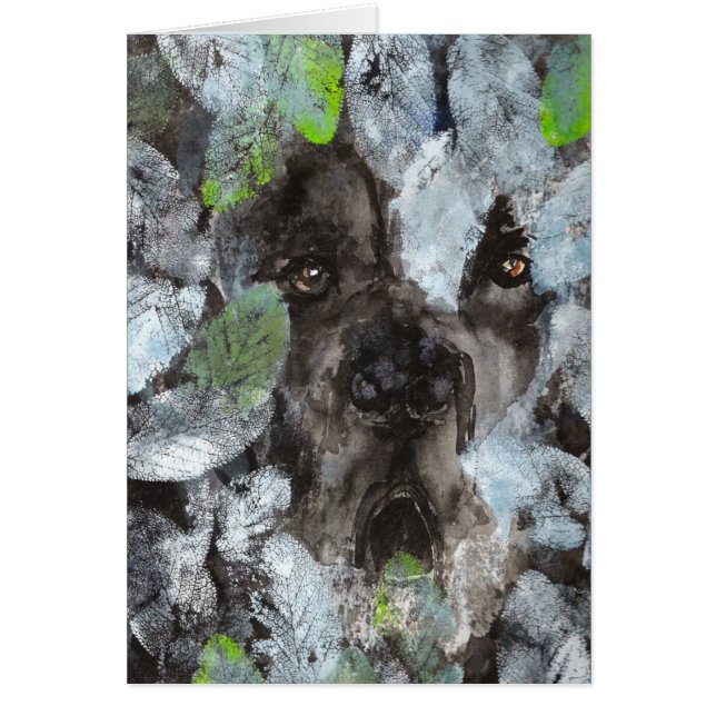 Chien Caché (Devant)