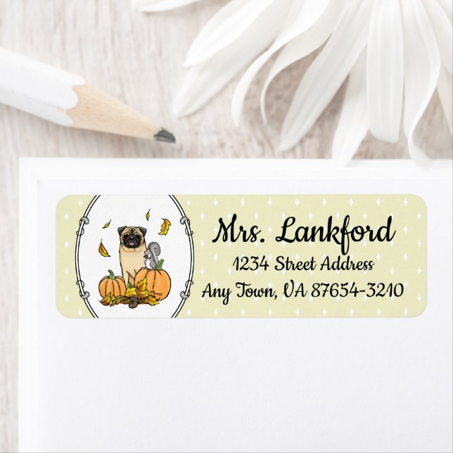 Chien Carlin d'automne (fawn) Citrouille mignon Fe (En situation)