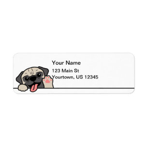 Chien Carlin mignon