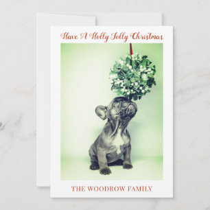 Chien Cartes de fin de année de Noël