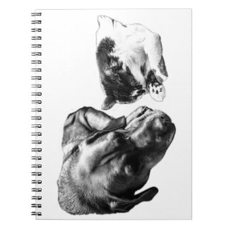 Chien & Chat Repose Ensemble Carnet Monochrome