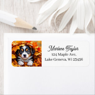 Chien chic mignon dans les feuilles d'automne