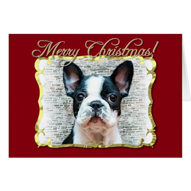 Chien-chien (Devant horizontal)