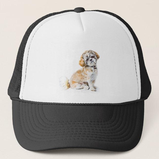 Chien Chien Chien Chien Chih Tzu Casquette (Devant)