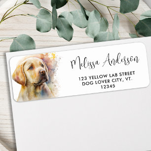 Chien Chien Chien Jaune Labrador Retriever Adresse