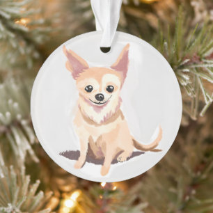 Chien Chihuahua Chien Mignon Animal De Compagnie