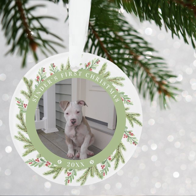 Chien chiot animal de compagnie premier Noël 2 pho (Pet Puppy Dog First Christmas 2 Photos Greenery Ornament)