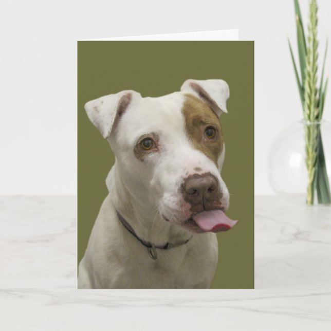 Chien collant la carte d'anniversaire de langue (Devant)