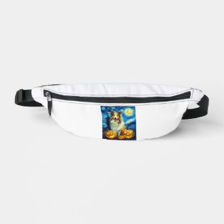 Chien Colley Rough Mignon Citrouille Halloween Jac