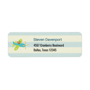 Chien coquelicot dans un jouet avion mignon