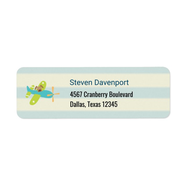 Chien coquelicot dans un jouet avion mignon (Devant)