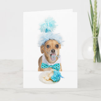Chien coupable mangeant la carte de voeux de