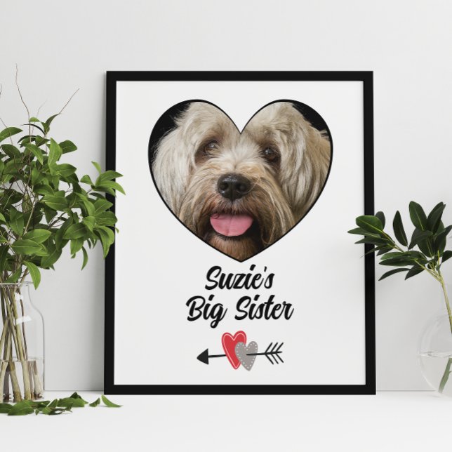 chien customisé grande soeur photo & poster de tex (Créateur téléchargé)