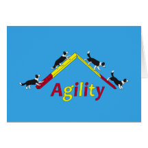 Chien d'agilité