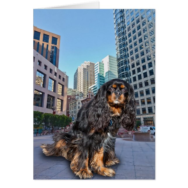 CHIEN DANS LA VILLE (Devant)