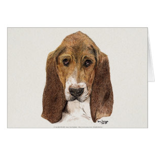 Chien de Basset Hound, aquarelle