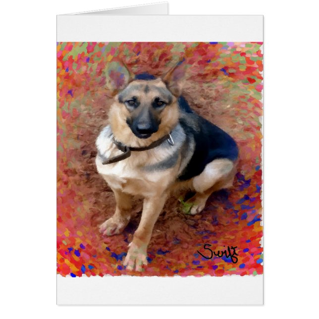 Chien de berger allemand (Devant)