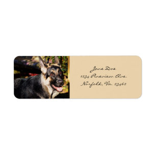 Chien de berger allemand