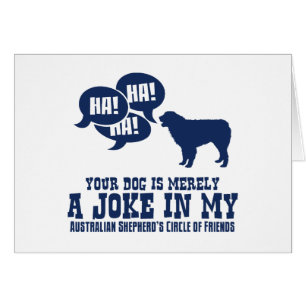 Chien de berger australien