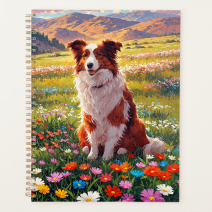 Chien de berger Border Collie