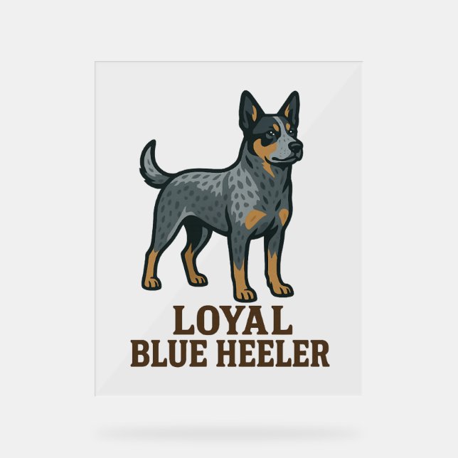 Chien de bétail australien Loyal Blue Heeler (Recto)