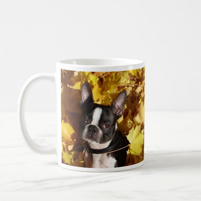 Chien de Boston Terrier entouré par la tasse de (Gauche)