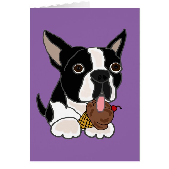 Chien de Boston Terrier mangeant la crème glacée (Devant)